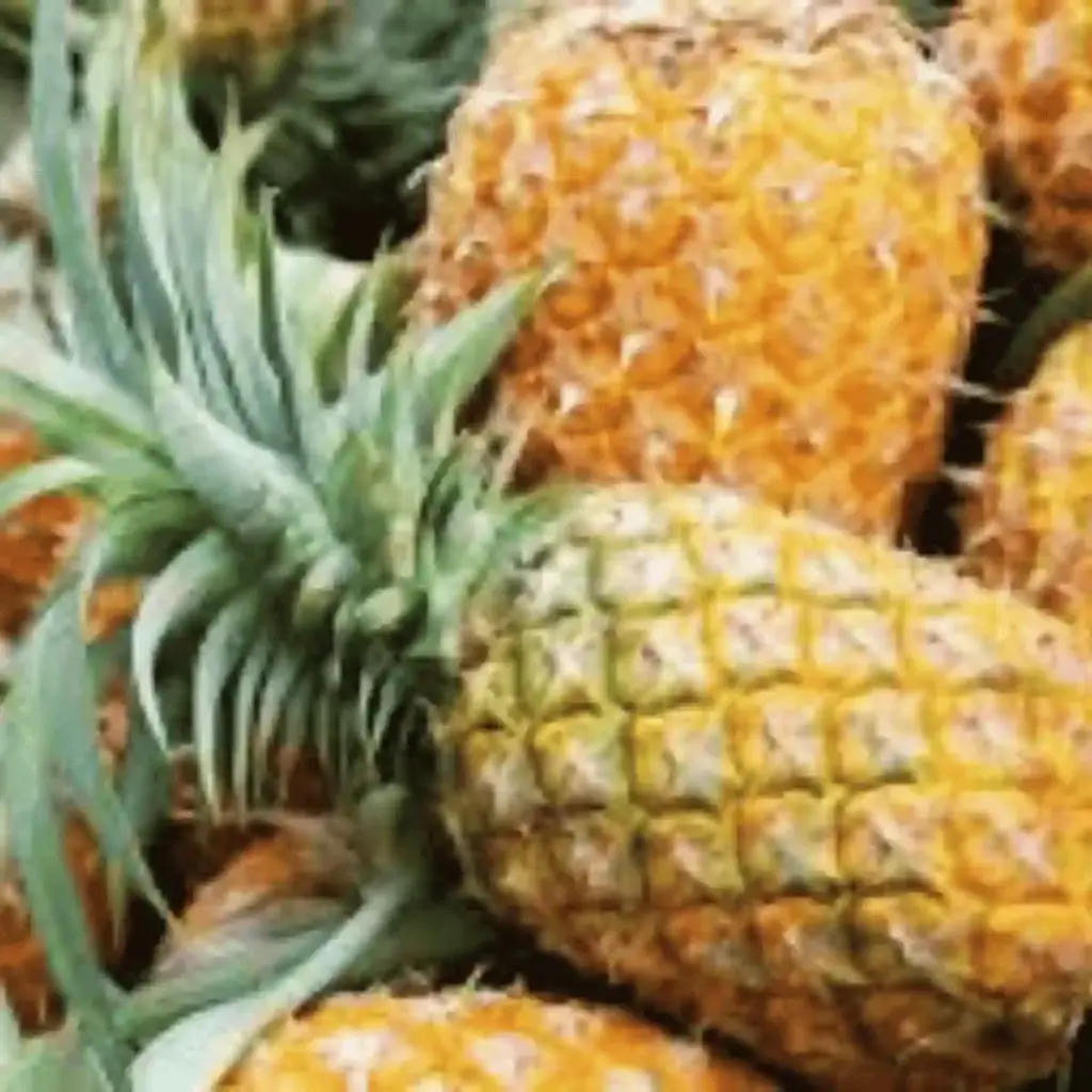 bromelain