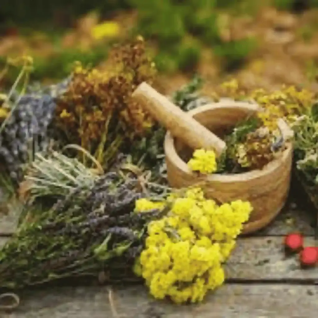 synergistic herbal blend